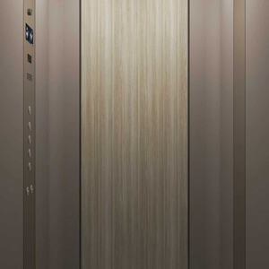 Ascensor Hidráulico Económico para Casa, Villa y Hotel, Funcionamiento Silencioso y Suave, Capacidad de Carga de 400 kg, Diseño Moderno otiss - Product Image 2