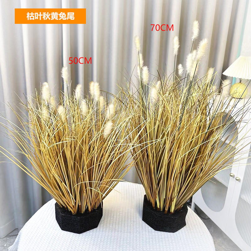 Feuilles fanées, queue de lapin jaune d'automne