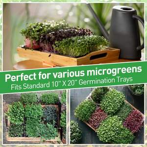 Tikar penumbuh hidroponik goni nampan kuman tumbuh Biodegradable tikar terasa untuk tumbuh hijau kecil rumput mikro - Product Image 5