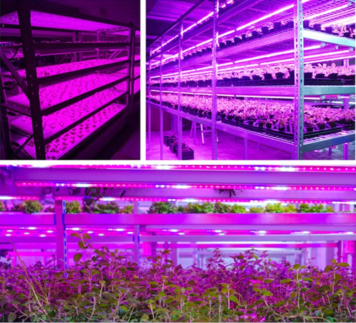 תאורה מקצועית הידרופוניקה הוביל לגדול צינור אור מלא ספקטרום מלא הוביל לגדול אורות עבור צמחים מקורה