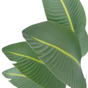 OH Arts Novo Design Traveler Banana Decoracao Interior Green Plant Pot Simulacao Viajante Banana Tree en venta - Product Image 3