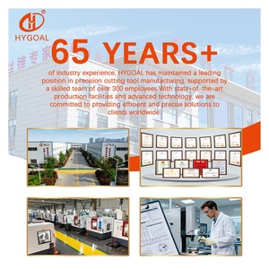 Hygoal thẳng sáo tap Thiết lập số liệu kích thước M3-M36 cho các vật liệu giòn như sắt - Product Image 4