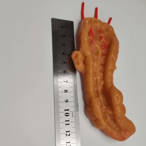 KyrenMed 3D Human <strong>Pancreas</strong> Training <strong>Model</strong> Pancreatic and Splenic Surgery Training Module for Anastomosis Suturing Cutting - Product Image 2