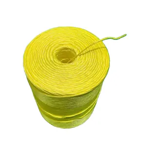 Factory Made Hot-sale High Speed PP Raffia Twine Inflow Twister 2 In1 Spool Winding Machine