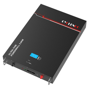 Cyclenpo-batería <span class=keywords><strong>de</strong></span> litio <span class=keywords><strong>para</strong></span> almacenamiento <span class=keywords><strong>de</strong></span> energía solar, 48v, 100ah, 200ah - Product Image 5