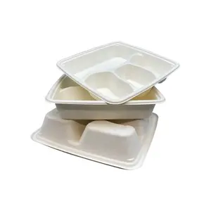 Vendita calda rettangolo 4-scomparti piatti di canna da zucchero bagassa contenitori Fast Food vassoio