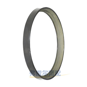 Anillo de Engranaje ABS Peugeot Citroën 454919 454923 334909 para 307 308 407 C3 C4 Megane, Pieza de Repuesto - Product Image 2