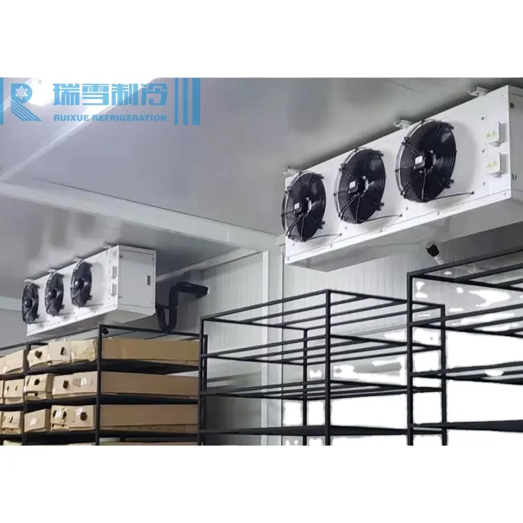 Ruixue Commercial Air Blast Walk In Freezer Cold Room Air Cooled Freezer Condensing Unit Cold Storage Pu Panels With Hinged Door