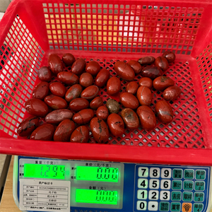 All'ingrosso <span class=keywords><strong>pietra</strong></span> di <span class=keywords><strong>cristallo</strong></span> naturale <span class=keywords><strong>pietra</strong></span> di <span class=keywords><strong>cristallo</strong></span> <span class=keywords><strong>rosso</strong></span> diaspro caduto <span class=keywords><strong>pietra</strong></span> per la decorazione - Product Image 6