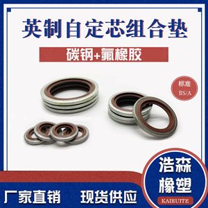 แหวนรองโลหะเคลือบ Kairuite รุ่น Bs A มาตรฐาน ทนความร้อนสูง ใช้สำหรับท่อน้ำ - Product Image 3