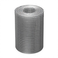 Rouleau de grillage en acier galvanisé à chaud de calibre 19, 1/2 pouce, 48x100 pieds, argenté, pour clôture de jardin, contrôle des rats et des gaufres