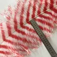 Nouvel Arrivage Plumes d'autruche de 60-65 cm à vendre, Grands éventails en plumes d'autruche, Centre de table en plumes d'autruche