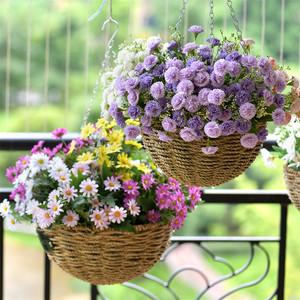 Cesta colgante para <span class=keywords><strong>maceta</strong></span>, Cestas tejidas de algas marinas para plantas, colgador de plantas blancas para exteriores, soporte suculento de <span class=keywords><strong>coco</strong></span> de 12 pulgadas - Product Image 5