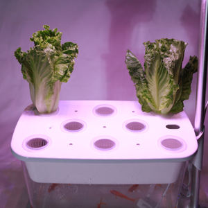 Sistema Acquaponico con Acquario, Luci di Crescita Micro-Ecologiche, Simbiosi Intelligente per la Cattura del <span class=keywords><strong>Carbonio</strong></span>, Vaso Ecologico con Lampada di Crescita - Product Image 1