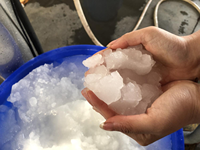 Nouveau produit machine à glace à lisier de pulpe 5T/24h pour la congélation de fruits de mer machine à glace
