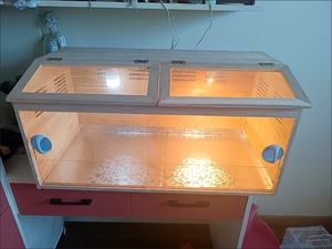 Jaula Moderna Portátil de Madera para Hámster con Techo Abierto, Casa para Mascotas Pequeñas, para Cobayas, con Lámina Acrílica - Product Image 3