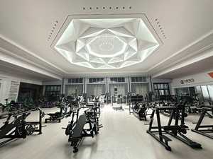 Equipo de Gimnasio Comercial de Alta Calidad para Ejercicios de Piernas, <span class=keywords><strong>Serie</strong></span> Prakssis Qinglong Super Hack LD01 - Product Image 5