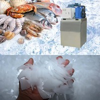 Machine à glace en flocons industrielle à haute efficacité en SUS304 avec compresseur et pompe à eau pour la conservation des fruits de mer frais sur les navires de pêche