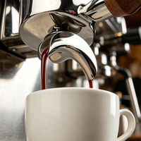 Porte-filtre à double bec pour expresso, 2 tasses, 58 mm, 2 oreilles, en acier inoxydable 304 de qualité alimentaire, avec poignée en bois de rose remplaçable, pour Gaggia