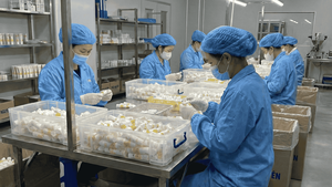 Tubos de Plástico PE Cosméticos Ecológicos de Alta Calidad para Envasar Champú y Acondicionador para el Cabello con Tapa Abatible de Vietnam - Product Image 5