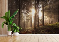 Papier peint mural en gros HD 3D Forêt brumeuse imperméable pour salon chambre à coucher Papier peint mural Forêt vert foncé