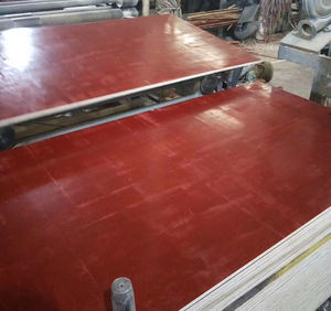 Compensato per Casseforme E1 di Alta Qualità, Ecologico, con Nucleo in Eucalipto e Impiallacciatura di Betulla Spessa 18mm, da Guangxi - Product Image 5