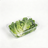 Conteneur d'emballage pour fruits et légumes de qualité alimentaire, boîte en blister transparente en PET