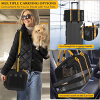 Sac de transport pour animaux de compagnie en maille polyester légère et respirante, avec bandoulière, idéal pour les sorties quotidiennes et les trajets en voiture sécurisés