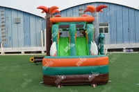 Castillo Inflable Comercial con Tobogán, Diseño de Dinosaurio Demonio, para Niñas, en Alquiler