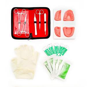 Anatomical Model <b>Oral</b> Cavity & Head with Four-tooth Suture Practice Module for <b>Oral</b> <b>Therapy</b> <b>Equipment</b> & <b>Accessory</b> Export - Product Image 3