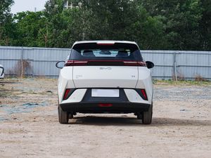 Nouvelle petite <span class=keywords><strong>voiture</strong></span> électrique pure BYD Seagull 2025 édition de conduite intelligente 305km édition vitalité <span class=keywords><strong>à</strong></span> <span class=keywords><strong>vendre</strong></span> - Product Image 5