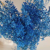 Bunga Gypsophila Dream Star Awet Alami untuk Dekorasi Pernikahan, Natal, Hari Ibu, dan Rumah - ETERNAL