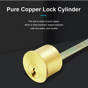 VIANS <strong>Factory</strong> Price Electric Security Door Locks Electric Rim Lock for <strong>Intercom</strong> <strong>System</strong> - Product Image 5