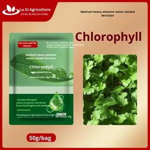 유기 엽록소 아미노산 액체 비료 묘목 강화 녹색 향상 야채 과일의 품질 향상 - Product Image 2