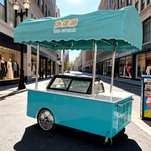 Food Trolley Cart Gelato Cart Display <b>Freezer</b> Trolley Cart Ice Cream Display Case Street <b>Freezer</b> Mobile Ice Cream Cart - Product Image 1
