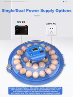 Incubateur d'œufs de volaille, usine en chine, Mini incubateur d'œufs à vendre