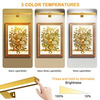 TSINYE LED Applique murale moderne pour miroir de salle de bain Lampes d'image à piles 3 couleurs et luminosité Dimmable Rechargeable