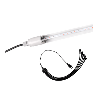 Ống Đèn Led T8 Chống Nước IP65 Toàn Phổ Trồng Rau Củ 2Ft 4FT 9W 12W 18W Cho Cây Trồng - Product Image 2