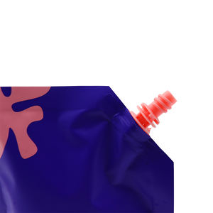 शैम्पू, क्रीम, सौंदर्य प्रसाधन यात्रा सेट तरल पैकेजिंग के लिए थोक कस्टम मुद्रित स्टैंड-अप प्लास्टिक स्पा - Product Image 4