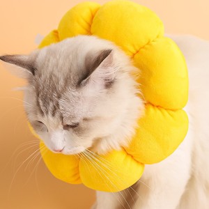 <span class=keywords><strong>Collare</strong></span> Impermeabile Eliza Circle <span class=keywords><strong>per</strong></span> <span class=keywords><strong>Gatti</strong></span>, Tinta Unita, Resistente a Graffi, Leccate e Morsi, <span class=keywords><strong>per</strong></span> Cani e <span class=keywords><strong>Gatti</strong></span> Sterilizzati, Multicolore - Product Image 4