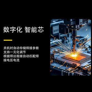 Machine à souder à l'arc à onduleur ZX7-315, 20-250A, alimentation CC, outil de soudage pour métaux et acier au carbone - Product Image 5