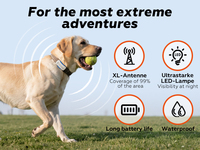 Collar Inteligente para Perros con GPS 4G, Plástico, Ubicación en Tiempo Real, Alertas de Geocerca, Luz LED, Indicaciones Sonoras, Monitor de Salud, Diagnóstico por IA