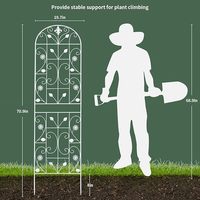 Treillis de pergola extérieur de couleur blanche de haute qualité et porte-fleurs en fer forgé Clôtures et portes de jardin élégantes