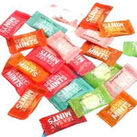 Bulk Unsweetened Sea Salt Mint Hard Candy with Flavors of Sweet Sour Fruity Fruit Customizable Tablet Candy Sugar Ingredients