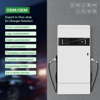 Estación de Carga para Vehículos Eléctricos de 120 kW, Punto de Carga CC con Doble CCS2, Cargador CC para Vehículos Eléctricos, Estación de Carga de Suelo