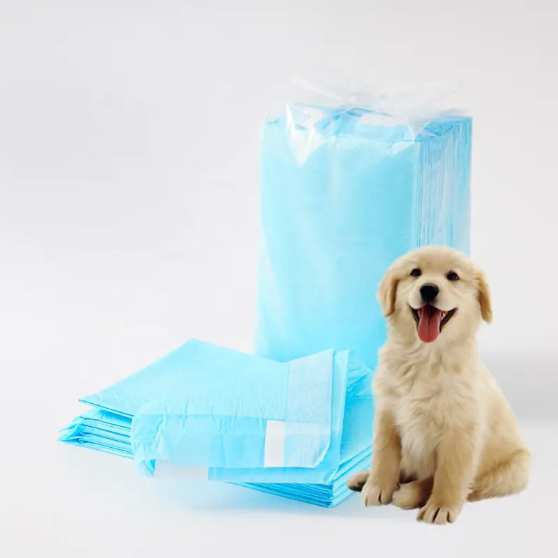 Campione gratuito produttore personalizzato 6 strati a prova di perdite cucciolo di cane pipì Pad X grande tappetino da addestramento per animali domestici tappetino usa e getta per pipì per cani