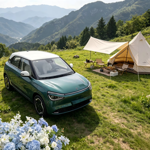 Dongfeng Nano 01 430 Ultra Pure Electric Small EV Car 430km <b>Range</b> 5-Seat City EV - Product Image 1