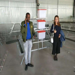 Équipement agricole galvanisé type A, nettoyage automatique des boissons, système de collecte des œufs, 3/4 couches, batterie pour volaille, cages à poulet - Product Image 3