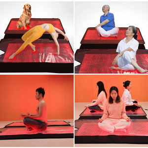 Produsen 360 tas seluruh tubuh 660 850 tikar lampu merah Dekat terapi inframerah cahaya merah selimut terapi cahaya merah - Product Image 4