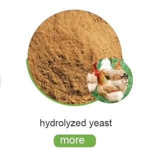 브루어스 효모 세포벽 다당류 saccharomyces cerevisiae 추출물 - Product Image 4